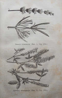 Целебный источник здоровья (домашний лечебник)... М., 1867.